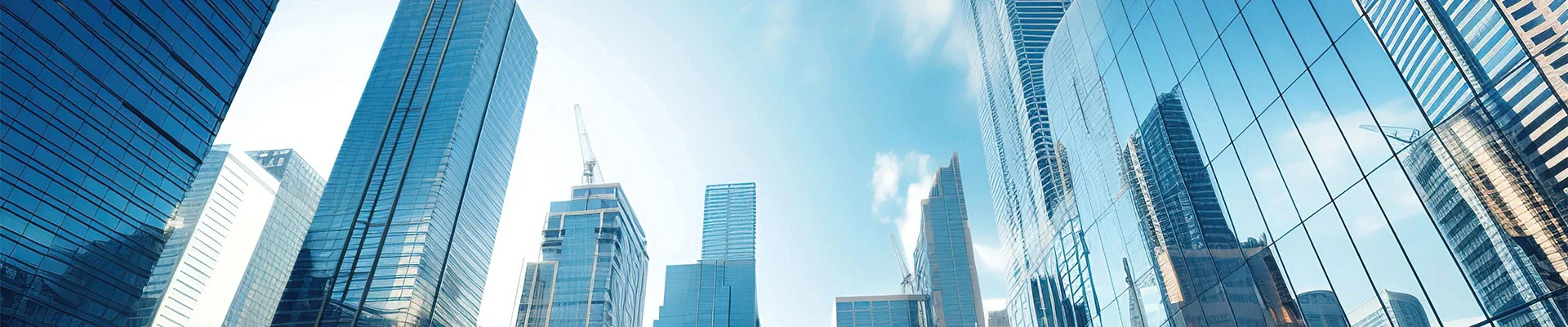 Company Profile